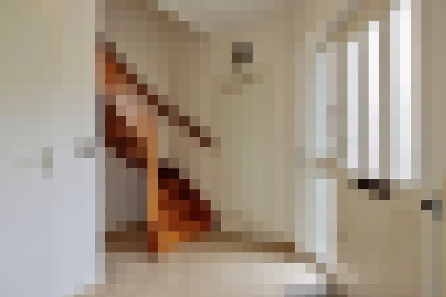 Aan de Veldkoul 6 Sint Geertruid thumbnail 4