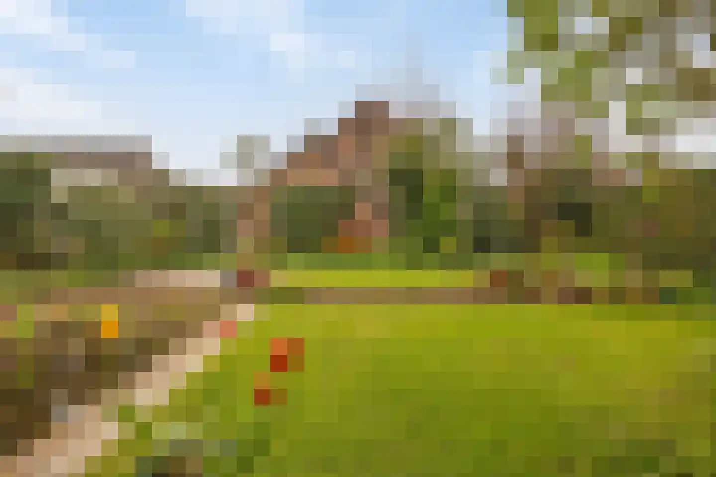 Aan de Veldkoul 6 Sint Geertruid thumbnail 40
