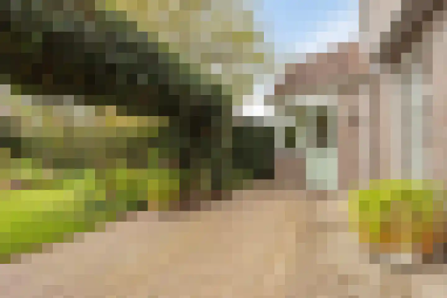 Aan de Veldkoul 6 Sint Geertruid thumbnail 42