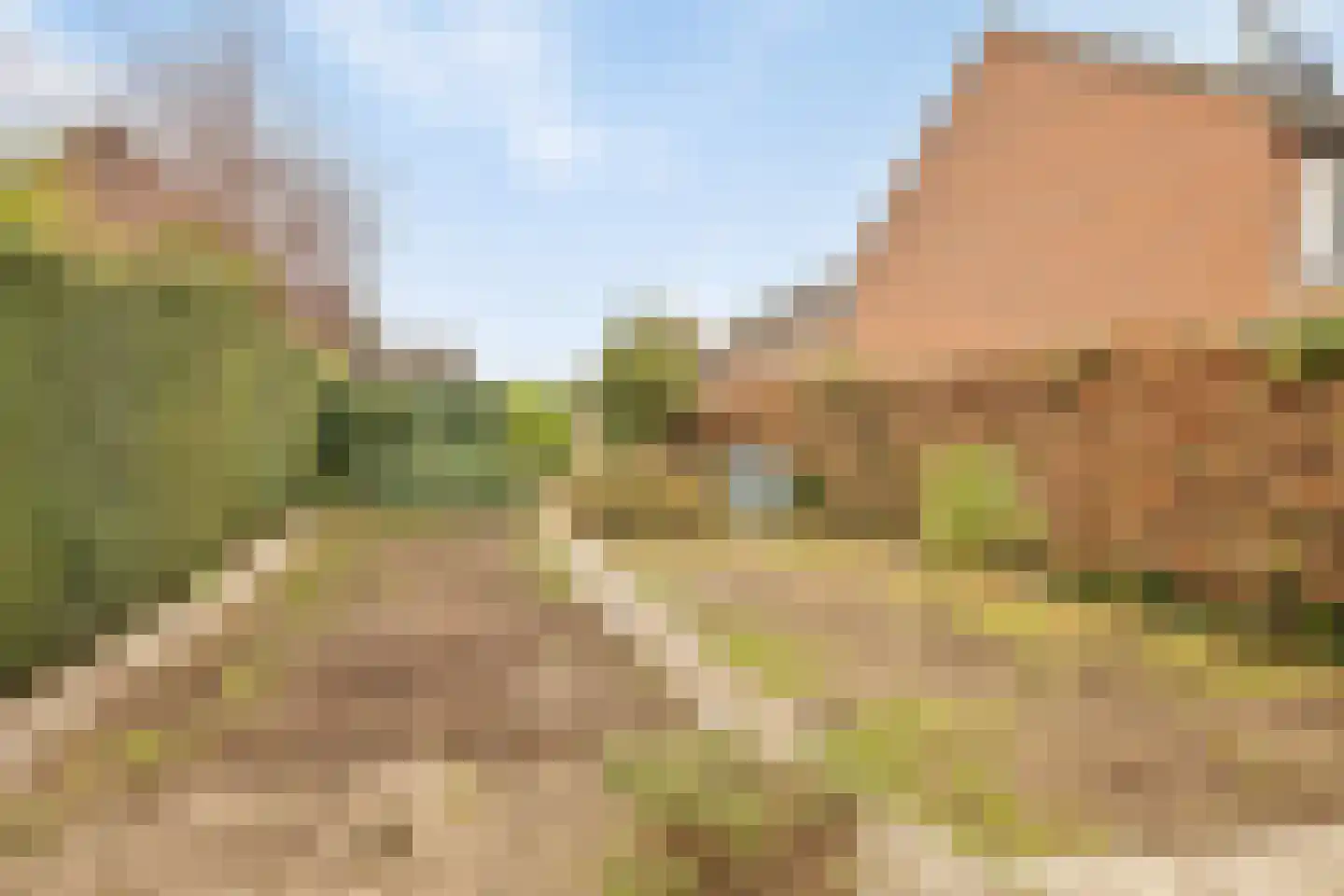 Aan de Veldkoul 6 Sint Geertruid thumbnail 43