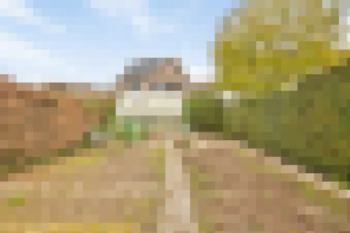 Aan de Veldkoul 6 Sint Geertruid thumbnail 44