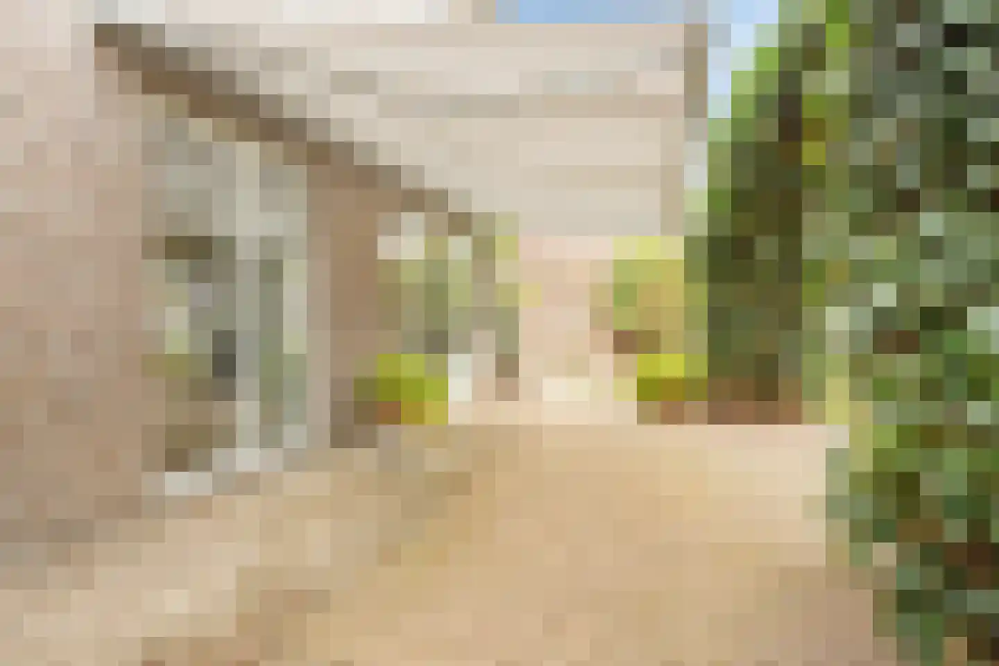 Aan de Veldkoul 6 Sint Geertruid thumbnail 45