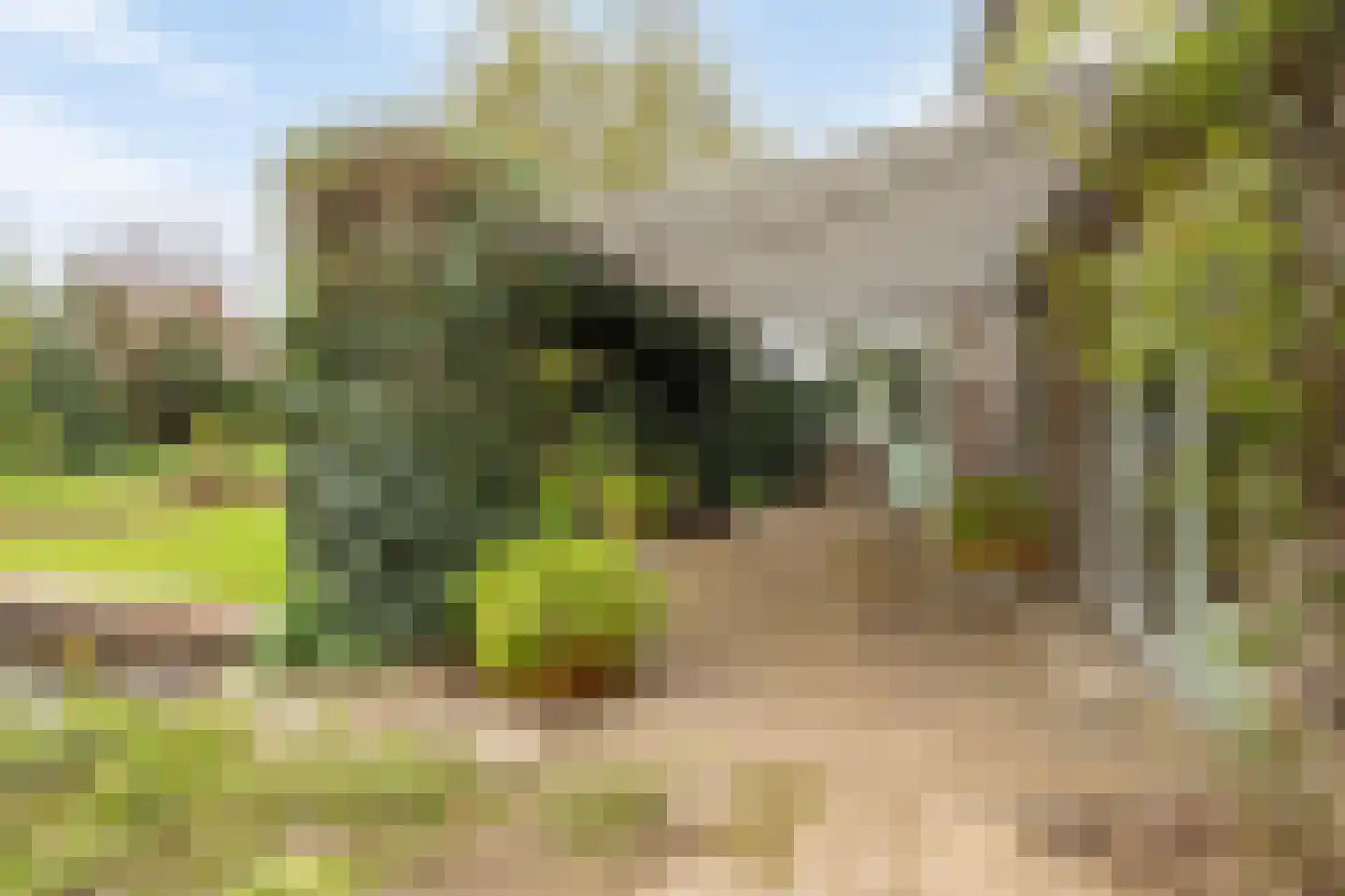 Aan de Veldkoul 6 Sint Geertruid thumbnail 46