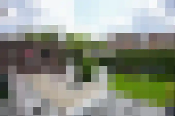 Aan de Ververij 35 Vaals thumbnail 20