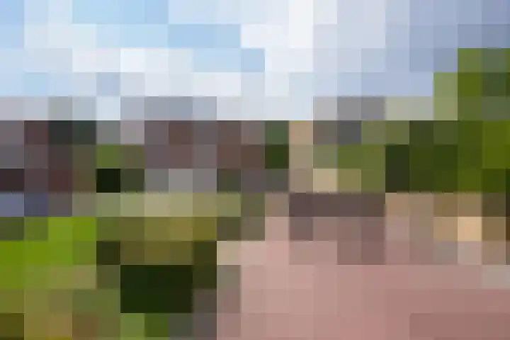 Aan de Ververij 35 Vaals thumbnail 24