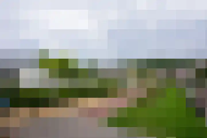 Aan de Ververij 35 Vaals thumbnail 25