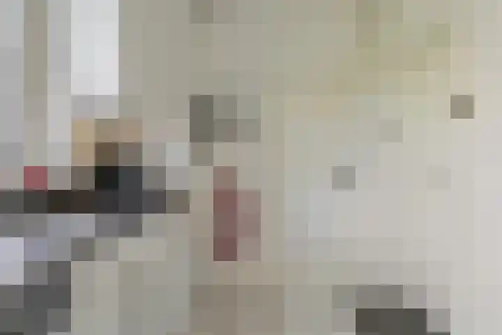 Aan de Vier Gebroeders 2 Herkenbosch thumbnail 10