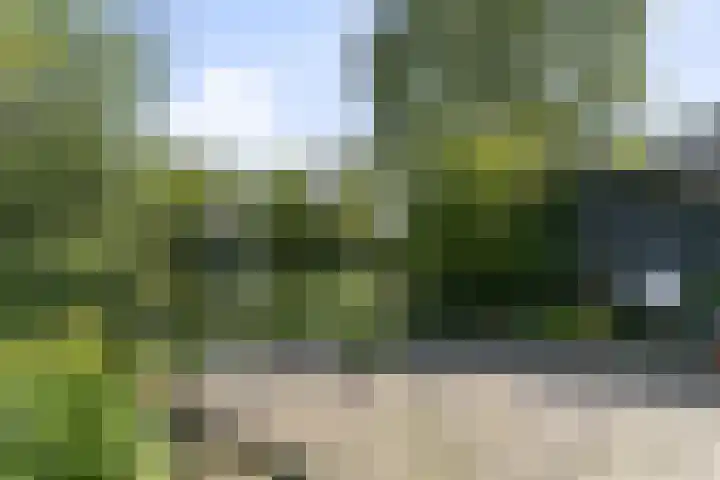Aan de Vier Gebroeders 2 Herkenbosch thumbnail 19