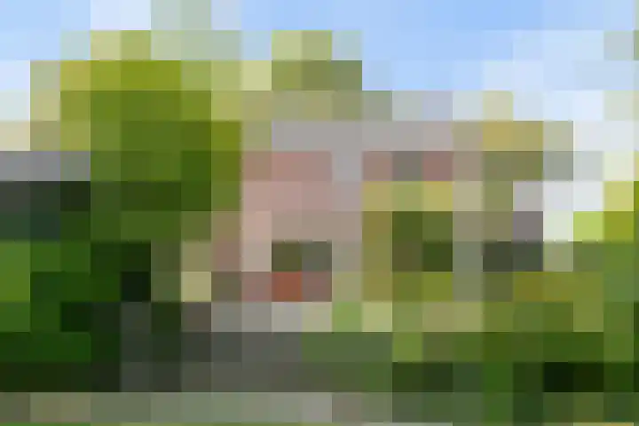 Aan de Vier Gebroeders 2 Herkenbosch thumbnail 20