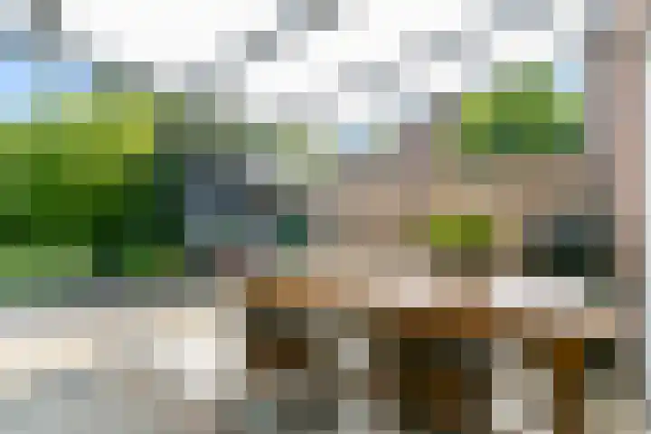 Aan de Vier Gebroeders 2 Herkenbosch thumbnail 21
