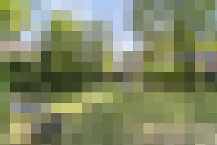 Aan de Vier Gebroeders 2 Herkenbosch thumbnail 22