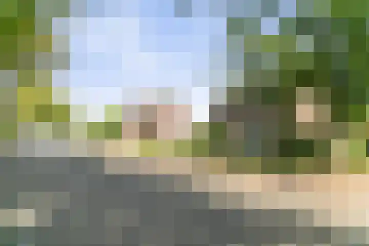 Aan de Vier Gebroeders 2 Herkenbosch thumbnail 24