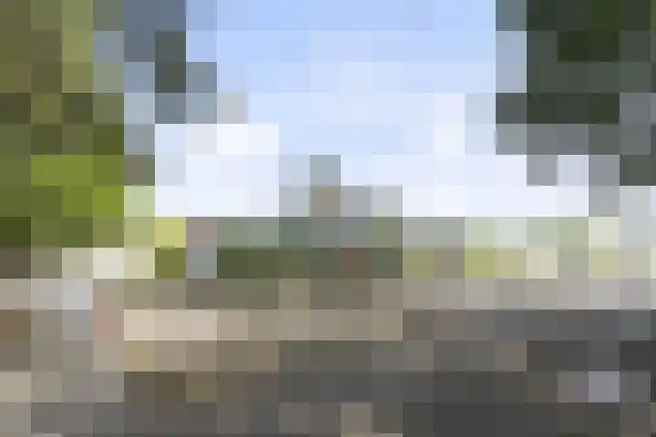 Aan de Vier Gebroeders 2 Herkenbosch thumbnail 25