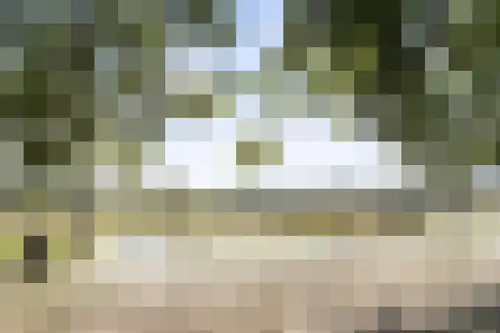 Aan de Vier Gebroeders 2 Herkenbosch thumbnail 26
