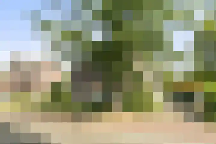 Aan de Vier Gebroeders 2 Herkenbosch thumbnail 27