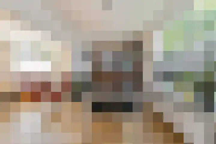 Aan de Vier Gebroeders 2 Herkenbosch thumbnail 5