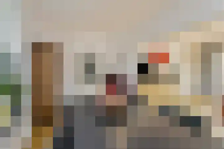 Aan de Vier Gebroeders 2 Herkenbosch thumbnail 8