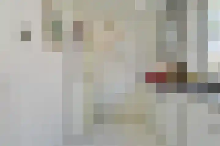 Aan de Vier Gebroeders 2 Herkenbosch thumbnail 9
