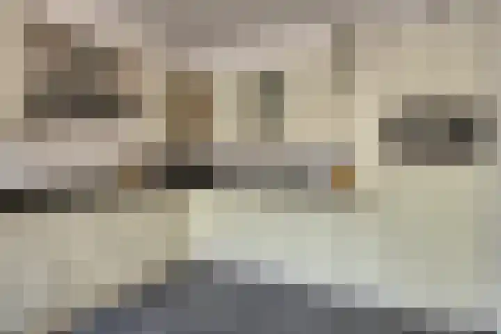 Aan de Vier Gebroeders 3 Herkenbosch thumbnail 12