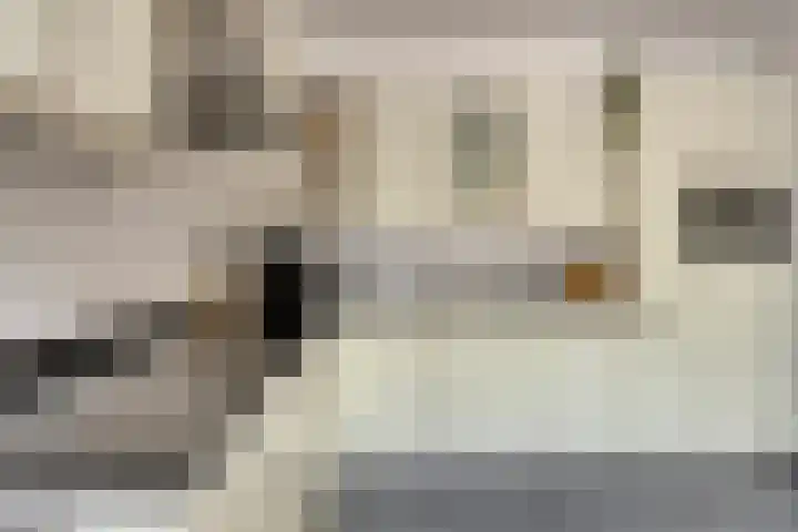 Aan de Vier Gebroeders 3 Herkenbosch thumbnail 13