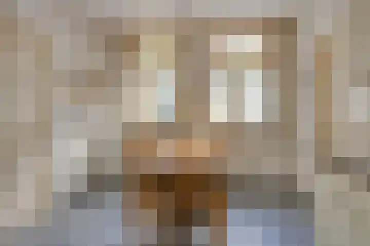 Aan de Vier Gebroeders 3 Herkenbosch thumbnail 14
