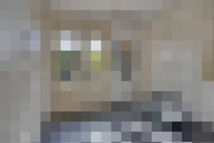 Aan de Vier Gebroeders 3 Herkenbosch thumbnail 16
