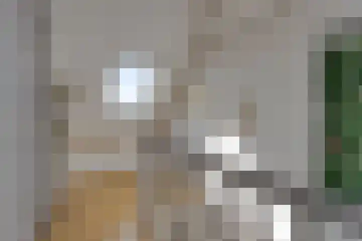 Aan de Vier Gebroeders 3 Herkenbosch thumbnail 26