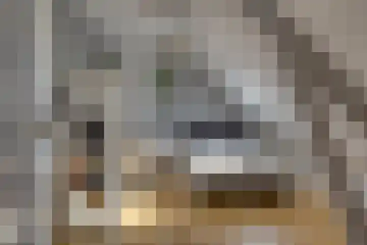 Aan de Vier Gebroeders 3 Herkenbosch thumbnail 27