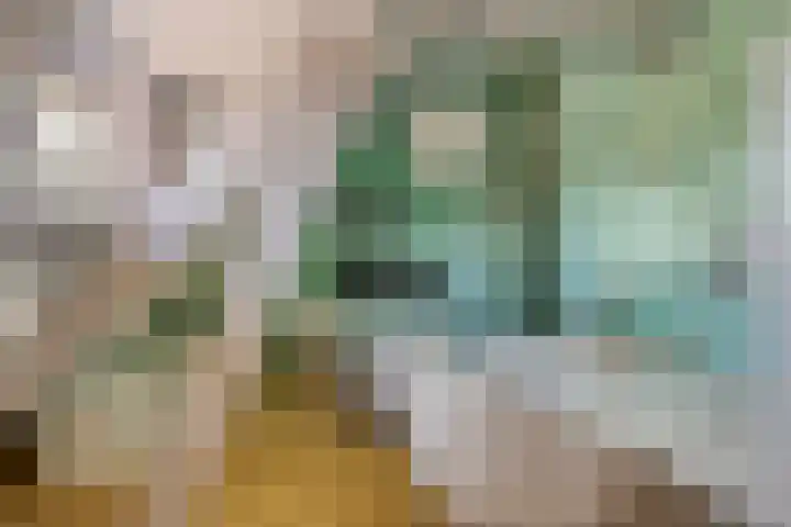 Aan de Vier Gebroeders 3 Herkenbosch thumbnail 28