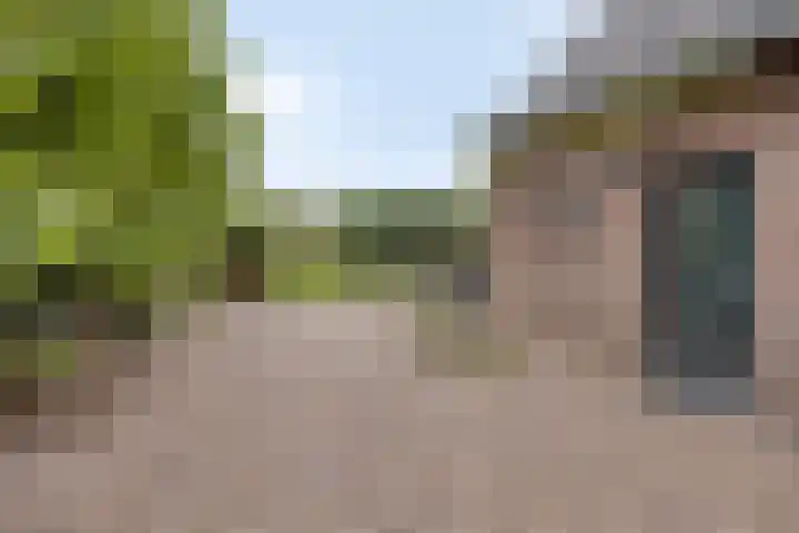 Aan de Vier Gebroeders 3 Herkenbosch thumbnail 29