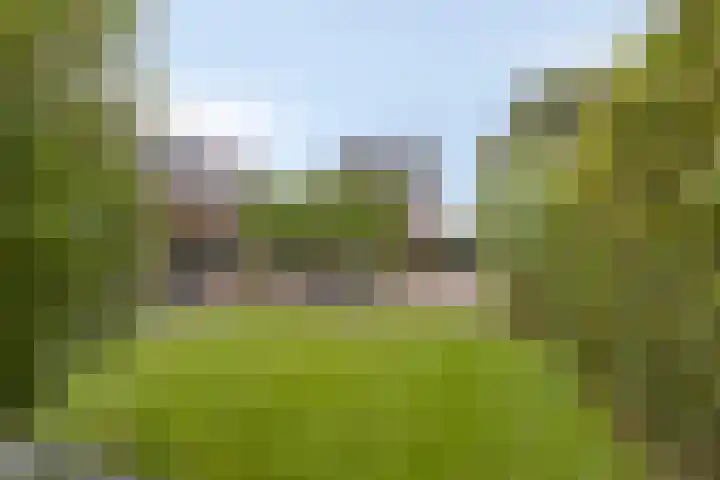 Aan de Vier Gebroeders 3 Herkenbosch foto 3