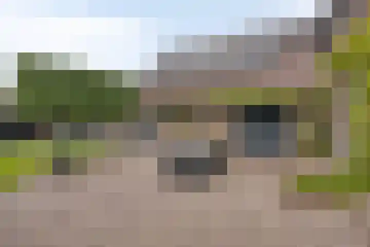 Aan de Vier Gebroeders 3 Herkenbosch thumbnail 30