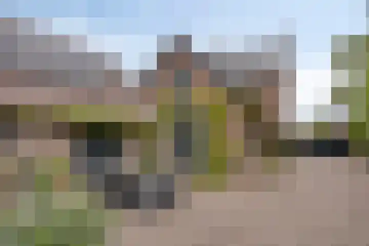 Aan de Vier Gebroeders 3 Herkenbosch thumbnail 31