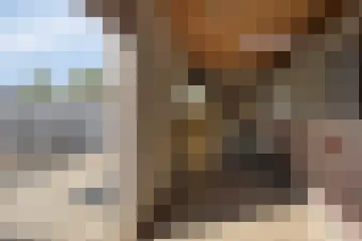 Aan de Vier Gebroeders 3 Herkenbosch thumbnail 34