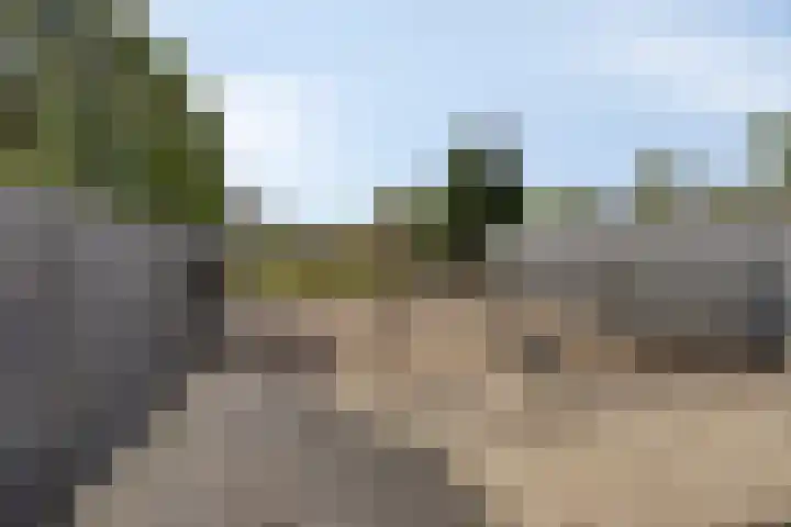 Aan de Vier Gebroeders 3 Herkenbosch thumbnail 35