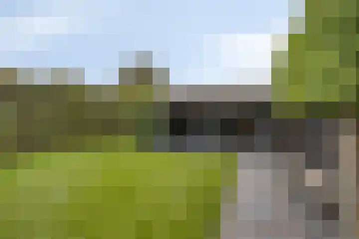 Aan de Vier Gebroeders 3 Herkenbosch thumbnail 36