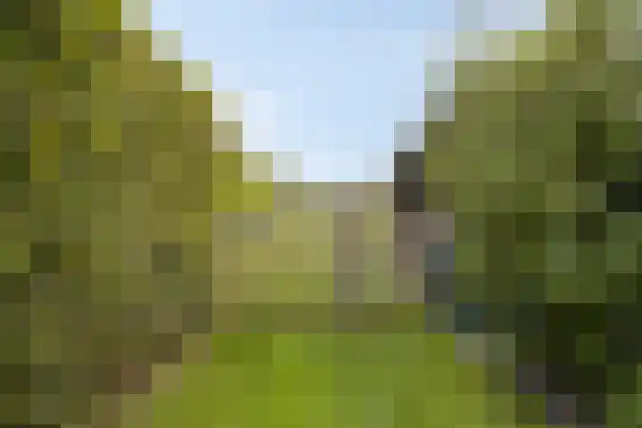 Aan de Vier Gebroeders 3 Herkenbosch thumbnail 39