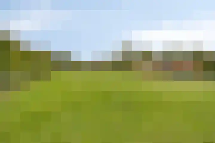 Aan de Vier Gebroeders 3 Herkenbosch thumbnail 40