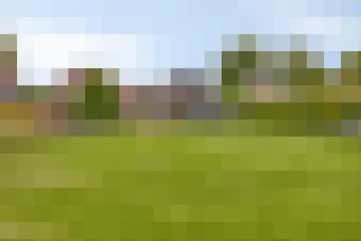 Aan de Vier Gebroeders 3 Herkenbosch thumbnail 42