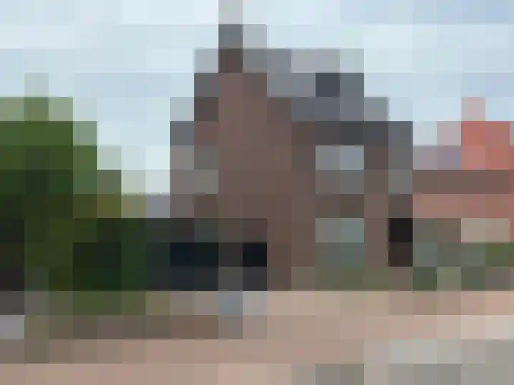 Aan de Vier Gebroeders 3 Herkenbosch thumbnail 43