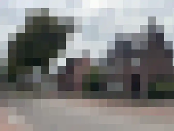 Aan de Vier Gebroeders 3 Herkenbosch thumbnail 44
