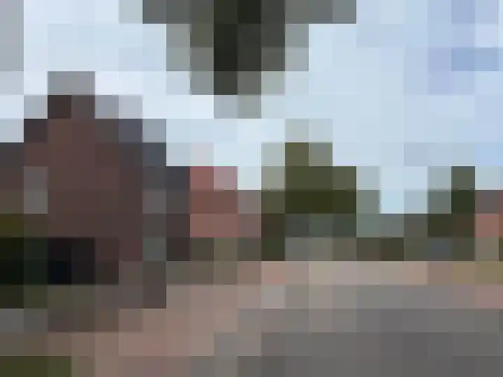Aan de Vier Gebroeders 3 Herkenbosch thumbnail 45