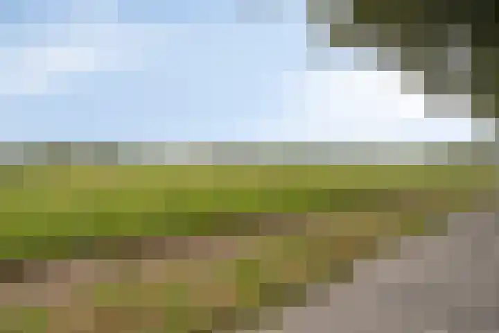 Aan de Vier Gebroeders 3 Herkenbosch thumbnail 46