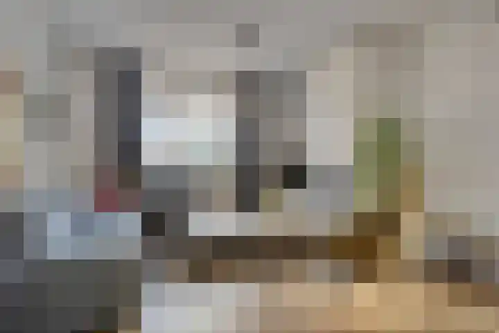 Aan de Vier Gebroeders 3 Herkenbosch thumbnail 6