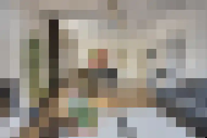 Aan de Vier Gebroeders 3 Herkenbosch thumbnail 7