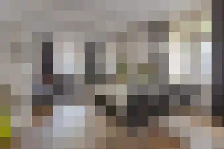 Aan de Vier Gebroeders 3 Herkenbosch thumbnail 9