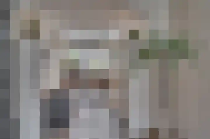 Aan de Wassum 9 Venlo thumbnail 15