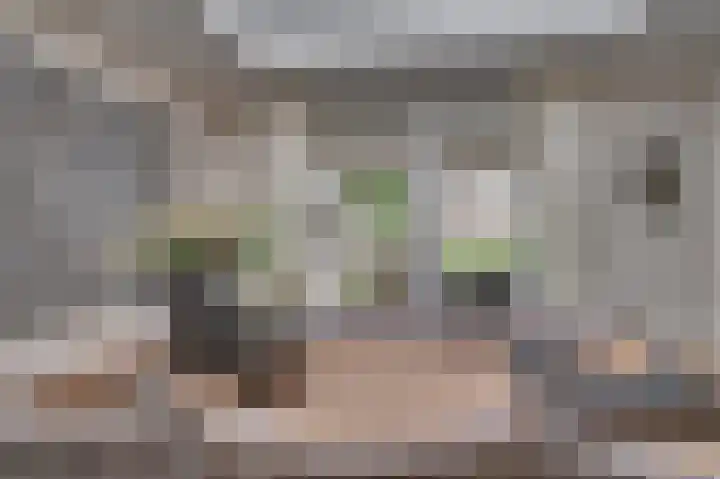 Aan de Wassum 9 Venlo thumbnail 16