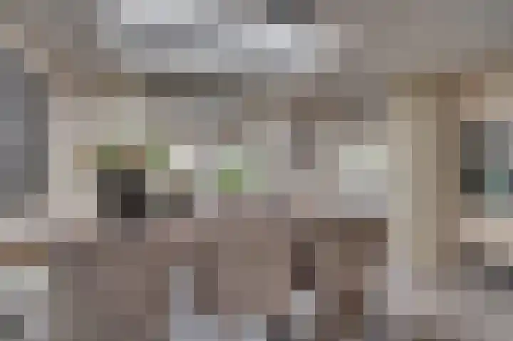 Aan de Wassum 9 Venlo thumbnail 17