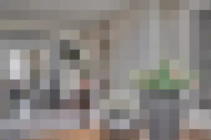 Aan de Wassum 9 Venlo thumbnail 24